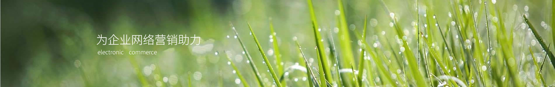 ػ޹˾